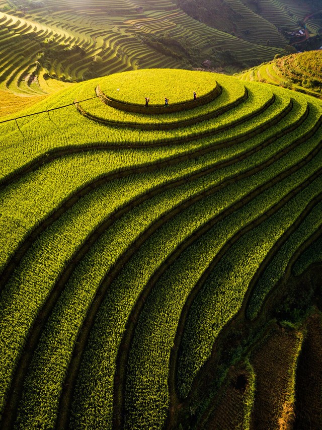 M&ugrave; Cang Chải
