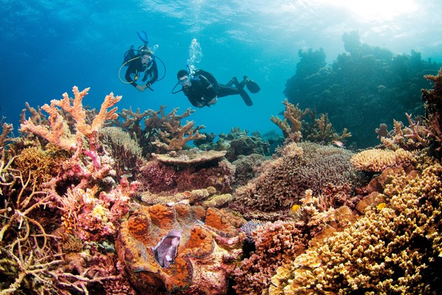 Rạn san h&ocirc; Great Barrier, AustraliaGreat Barrier l&agrave; hệ thống rạn san h&ocirc; lớn nhất thế giới với 2.900 rạn nhỏ v&agrave; 900 h&ograve;n đảo. Theo&nbsp;Big 7 Travel: "Ngo&agrave;i vẻ quyến rũ v&agrave; đầy m&agrave;u sắc th&igrave; Great Barrier c&ograve;n g&acirc;y ấn tượng lớn khi sở hữu v&ocirc; số lo&agrave;i san h&ocirc; qu&yacute; hiếm".&nbsp;