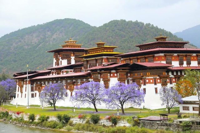 Tu viện Paro Taktsang l&agrave; một nơi thiền định nổi tiếng