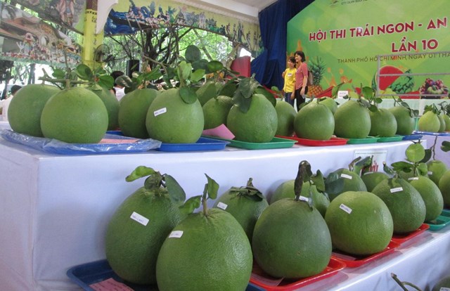 Bưởi l&agrave; một trong những mặt h&agrave;ng c&oacute; lợi thế của Việt Nam