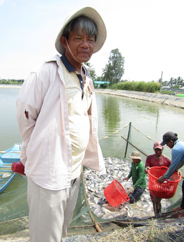 &Ocirc;ng V&otilde; Thanh V&acirc;n, ngụ thị trấn Long Ph&uacute;, huyện Long Ph&uacute;, tỉnh S&oacute;c Trăng nu&ocirc;i c&aacute; r&ocirc; phi đơn t&iacute;nh thu bạc tỷ.