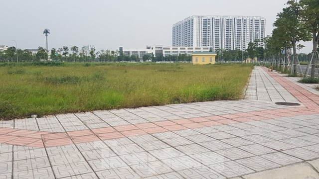 Quận Long Bi&ecirc;n (H&agrave; Nội) b&aacute;n đấu gi&aacute; quyền sử dụng đất gần 16.000m2 đất thực hiện Dự &aacute;n x&acirc;y dựng nh&agrave; ở thấp tầng &ocirc; đất TT3 thuộc &ocirc; quy hoạch C14 (phường Ph&uacute;c Đồng) với gi&aacute; khởi điểm v&agrave; gi&aacute; tr&uacute;ng thấp chỉ tr&ecirc;n 46 triệu đồng/m2. Trong khi thị trường v&agrave; c&aacute;c khu đất dự &aacute;n liền kề đang ch&agrave;o b&aacute;n với gi&aacute; từ 90-120 triệu&nbsp;đồng/m2. Ảnh: Đ&igrave;nh Phong.