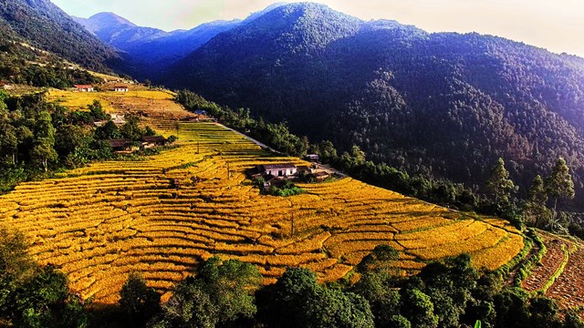 B&igrave;nh Li&ecirc;u.