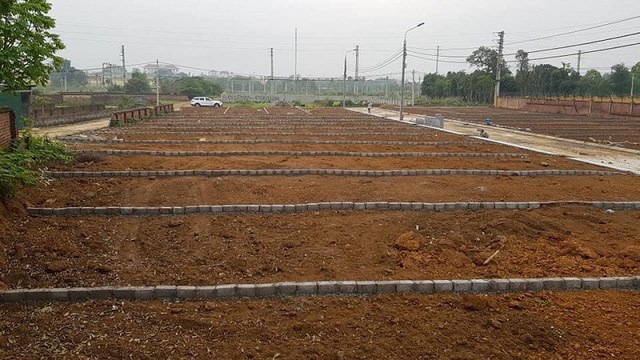 Đất ph&acirc;n l&ocirc; H&ograve;a Lạc đang được rao b&aacute;n tr&ecirc;n c&aacute;c trang mạng.