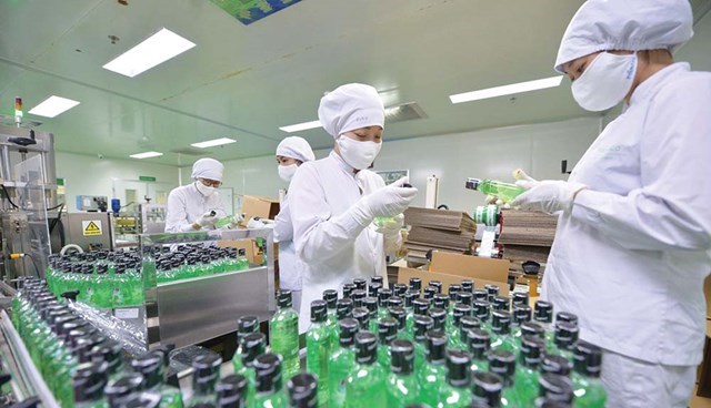 Traphaco (TRA) chốt ng&#224;y tạm ứng cổ tức đợt 1/2022 bằng tiền tỷ lệ 20% - Ảnh 1