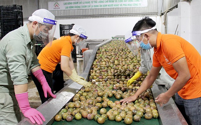 Cục Xuất nhập khẩu (Bộ Công Thương) khuyến cáo doanh nghiệp, nhà sản xuất thực phẩm xuất khẩu sang thị trường Trung Quốc nghiên cứu kỹ Nghị định 208 mới ban hành - Ảnh minh họa