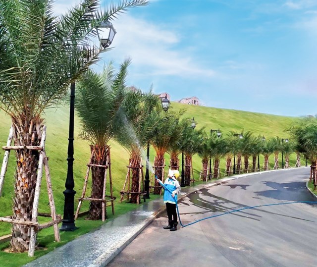 Lối dẫn v&agrave;o sảnh đ&oacute;n kh&aacute;ch với h&agrave;ng cọ xanh tươi hai b&ecirc;n.