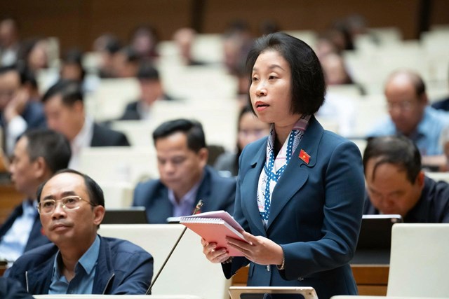 Đại biểu Phạm Thị Thanh Mai.