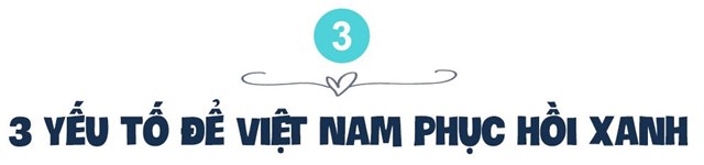 Kinh tế trưởng Ng&#226;n h&#224;ng Thế giới: Việt Nam đ&#227; chiến thắng Covid-19, vậy tại sao kh&#244;ng thể l&#224; nh&#224; v&#244; địch về phục hồi xanh? - Ảnh 5