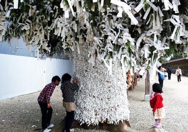 Người Nhật Bản c&oacute; thể buộc quẻ b&oacute;i Omikuji xấu l&ecirc;n những dải d&acirc;y thừng được chuẩn bị sẳn tại c&aacute;c đền ch&ugrave;a. &nbsp;