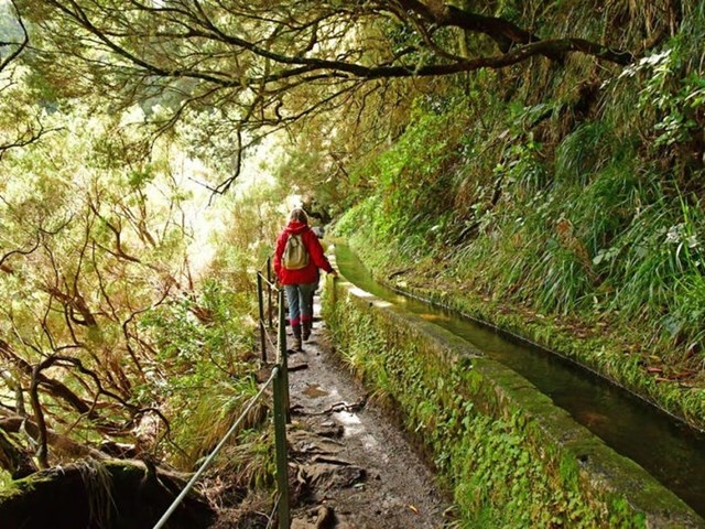 Tại Madeira vẫn c&ograve;n những k&ecirc;nh thủy lợi bằng đ&aacute;, lu&acirc;n chuyển nước xuy&ecirc;n qua đảo v&agrave; cũng tạo ra những cung đường đi bộ tuyệt vời.