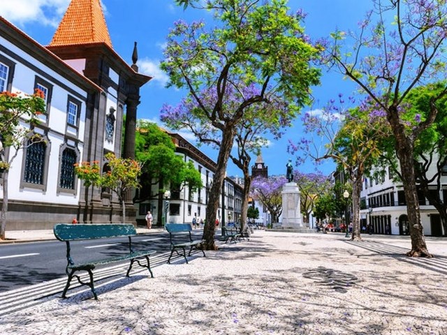 Th&agrave;nh phố lớn nhất của quần đảo Madeira l&agrave; Funchal, với những nh&agrave; thờ cổ, quảng trường v&agrave; đại lộ rợp b&oacute;ng c&acirc;y.