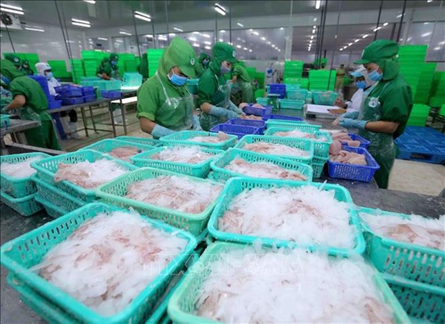 Giải m&#227; cổ phiếu: Động lực n&#224;o đằng sau đ&#224; tăng phi m&#227; cổ phiếu IDI của Đầu tư v&#224; Ph&#225;t triển Đa Quốc Gia I.D.I? - Ảnh 1