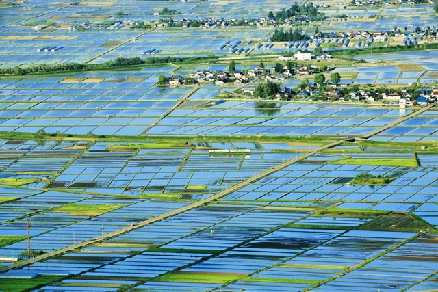 Khung cảnh b&igrave;nh y&ecirc;n của n&ocirc;ng th&ocirc;n Nhật Bản