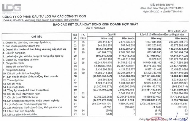 Vừa b&#225;o lỗ kỷ lục, Đầu tư LDG (LDG) c&#242;n bị phạt 130 triệu đồng do vi phạm quy định về c&#244;ng bố th&#244;ng tin - Ảnh 1
