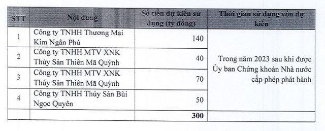 Camimex Group (CMX) l&#234;n kế hoạch vay 300 tỷ đồng tr&#225;i phiếu để thanh to&#225;n tiền mua nguy&#234;n vật liệu - Ảnh 1