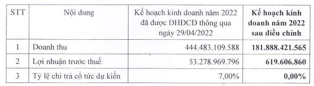 Kinh doanh giảm s&#250;t, CMH Viet Nam (CMS) dự kiến kh&#244;ng chia cổ tức, điều chỉnh giảm 99% kế hoạch lợi nhuận năm - Ảnh 1