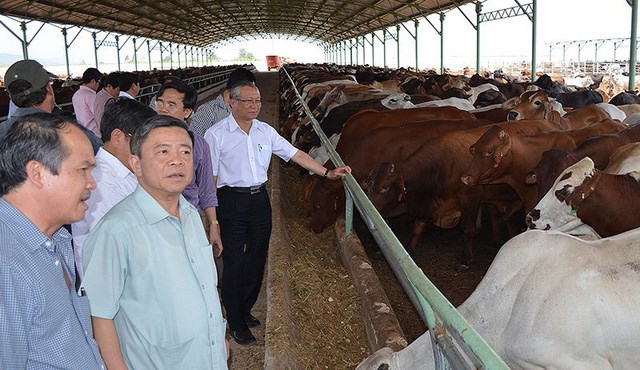 &Ocirc;ng Đo&agrave;n Nguy&ecirc;n Đức giới thiệu về dự &aacute;n chăn nu&ocirc;i b&ograve; tại L&agrave;o.