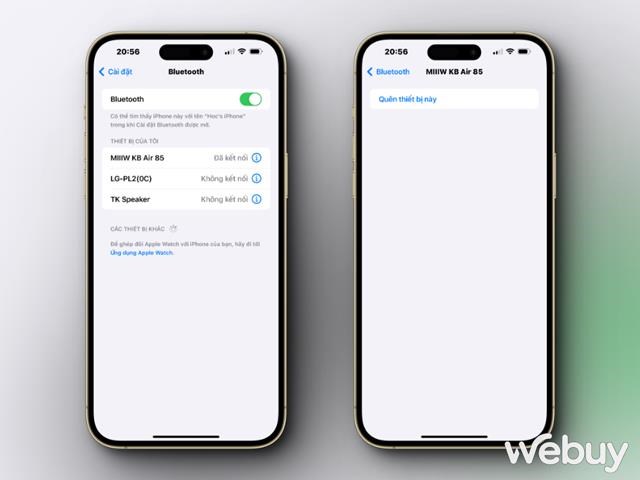 L&#224;m g&#236; khi b&#224;n ph&#237;m iPhone bị thiếu hoặc kh&#244;ng hiển thị khi soạn thảo? - Ảnh 2