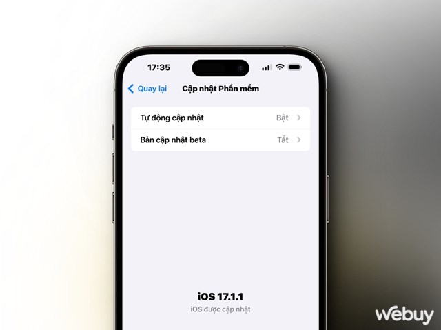 L&#224;m g&#236; khi b&#224;n ph&#237;m iPhone bị thiếu hoặc kh&#244;ng hiển thị khi soạn thảo? - Ảnh 9