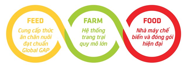 Chuỗi cung ứng thức ăn theo m&ocirc; h&igrave;nh 3F.