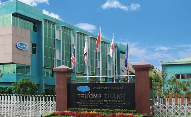 Gỗ Trường Th&#224;nh (TTF) ph&#225;t h&#224;nh 100 triệu cổ phiếu ch&#224;o b&#225;n ri&#234;ng lẻ v&#224; cấn trừ nợ - Ảnh 1