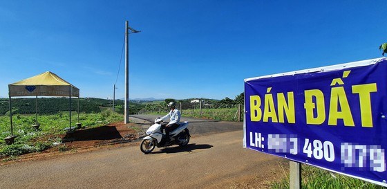 Đất n&ocirc;ng nghiệp được rao b&aacute;n tại tỉnh L&acirc;m Đồng.