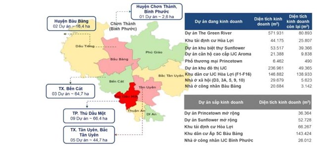 L&#253; do Becamex IJC h&#250;t kh&#225;ch đấu gi&#225; cổ phần - Ảnh 1