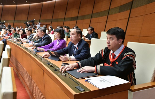 C&aacute;c đại biểu Quốc hội tiến h&agrave;nh biểu quyết