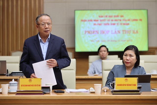 Đại diện Hiệp hội Doanh nghiệp nhỏ v&agrave; vừa ph&aacute;t biểu tại Phi&ecirc;n họp - Ảnh: VGP/Nhật Bắc