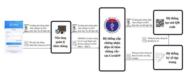 Quy tr&igrave;nh cấp Hộ chiếu vắc xin (Ảnh minh họa)