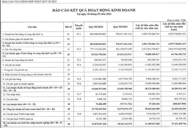 Chưa đầy một th&#225;ng l&#234;n s&#224;n chứng kho&#225;n, Siba Group (SBG) muốn ph&#225;t h&#224;nh cổ phiếu để tăng vốn - Ảnh 3