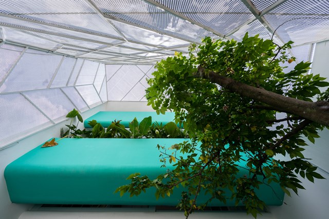 Căn nh&#224; 72 m2 tạo cảm gi&#225;c cứ &#39;tan ra, rộng r&#227;i, xuy&#234;n suốt&#39; - Ảnh 10