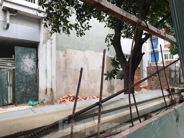 Một c&aacute;n bộ phường Trần Ph&uacute; cho biết, việc quản l&yacute;, b&agrave;n giao căn hộ chung cư t&aacute;i định cư tr&ecirc;n địa b&agrave;n thuộc về thẩm quyền v&agrave; tr&aacute;ch nhiệm của th&agrave;nh phố, phường kh&ocirc;ng đủ thẩm quyền để trả lời. Tuy nhi&ecirc;n, vị n&agrave;y th&ocirc;ng tin, hai t&ograve;a nh&agrave; đ&atilde; để hoang h&oacute;a kh&aacute; l&acirc;u, chưa đưa v&agrave;o sử dụng.