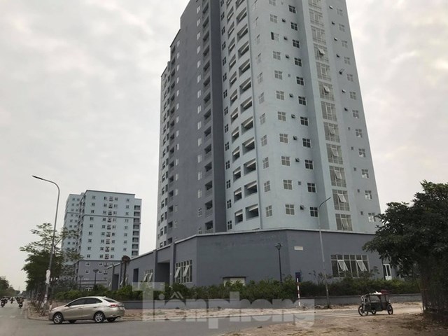 Tr&ecirc;n phố T&acirc;n Mai, đoạn gần với chợ đầu mối Ho&agrave;ng Mai thuộc địa b&agrave;n phường Ho&agrave;ng Văn Thụ, 3 t&ograve;a chung cư t&aacute;i định cư cũng hoang h&oacute;a nhiều năm nay.