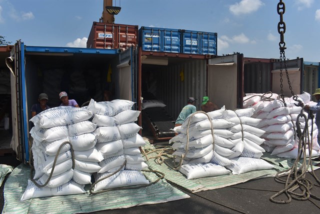 Muốn thu&ecirc; được container rỗng để xuất khẩu h&agrave;ng, doanh nghiệp phải trả chi ph&iacute; cao gấp 3 - 4 lần so với trước. Trong ảnh: c&ocirc;ng nh&acirc;n đ&oacute;ng th&ugrave;ng gạo xuất khẩu ở cảng Mỹ Thới, TP Long Xuy&ecirc;n, An Giang - Ảnh: BỬU ĐẤU