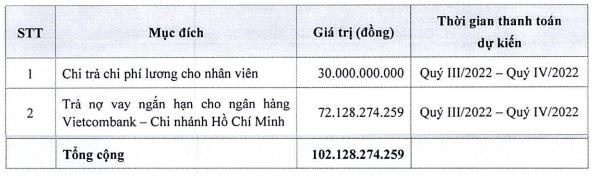 Vietravel (VTR) nộp hồ sơ ph&#225;t h&#224;nh cổ phiếu ho&#225;n đổi nợ l&#234;n UBCK - Ảnh 3