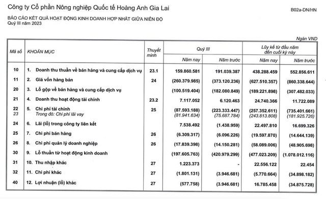 HAGL Agrico (HNG) th&#224;nh lập c&#244;ng ty con trị gi&#225; 400 triệu USD tại L&#224;o - Ảnh 2