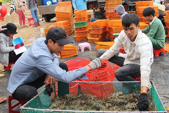 Thị trường t&ocirc;m h&ugrave;m tại thị x&atilde; S&ocirc;ng Cầu,&nbsp;Ph&uacute; Y&ecirc;n&nbsp;t&ocirc;m nhộn nhịp những ng&agrave;y cuối năm. Ảnh: Trọng Kh&ocirc;i