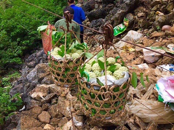 Na theo d&acirc;y c&aacute;p treo, từ từ xuống n&uacute;i.