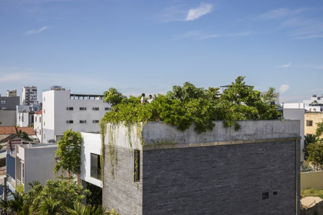 Thiết kế của Võ Trọng Nghĩa được báo Mỹ ca ngợi là 