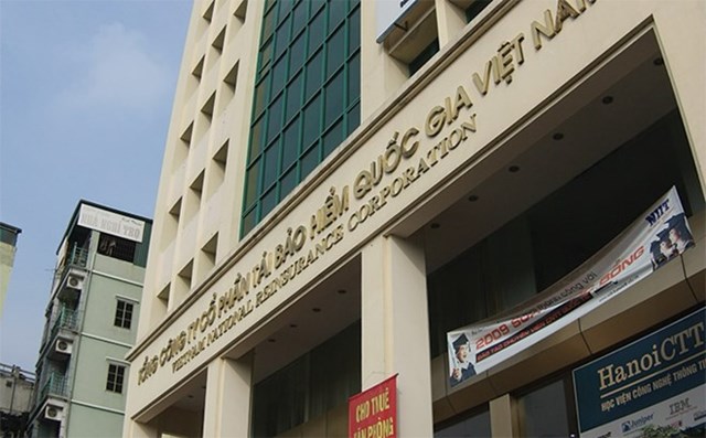 Vinare (VNR) báo lãi 465 tỷ đồng trong năm 2024, doanh thu tăng trưởng 17,8%