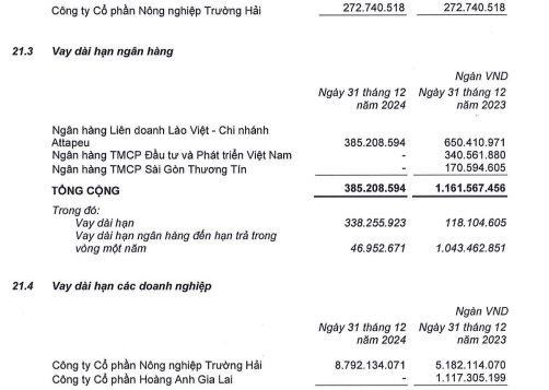 HAGL Agrico (HNG) tiếp tục thua lỗ - Ảnh 2