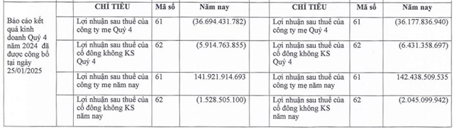 Sau đ&#237;nh ch&#237;nh B&#225;o c&#225;o t&#224;i ch&#237;nh qu&#253; IV, Tập đo&#224;n Đầu tư Thăng Long (TIG)  chuyển từ lỗ sang l&#227;i luỹ kế - Ảnh 2