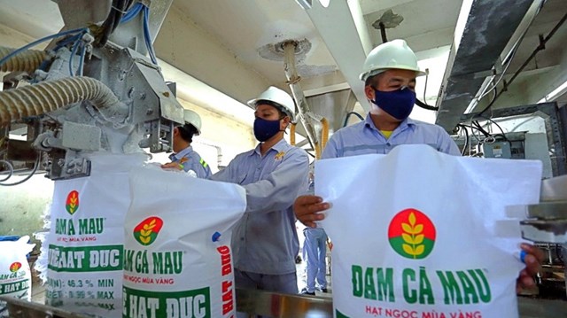 Đạm Cà Mau (DCM): Thu nhập trung bình của nhân viên cao hơn các ngân hàng lớn