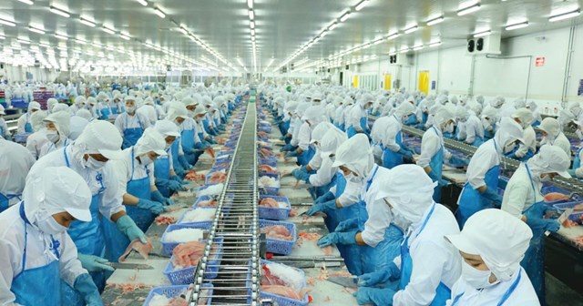 Vĩnh Hoàn (VHC) lên kế hoạch doanh thu 2025 kỷ lục, đạt 13.800 tỷ đồng