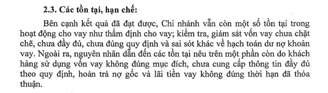 Thanh tra NHNN kết luật: EVN Finance HCM cần khắc phục một số tồn tại trong quản l&#253; cho vay - Ảnh 2