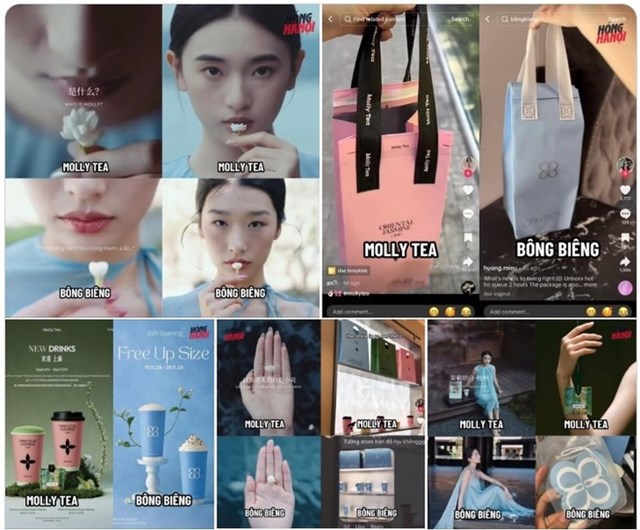 Sự giống nhau giữa h&igrave;nh ảnh quảng c&aacute;o tr&agrave; sữa B&ocirc;ng Bi&ecirc;ng v&agrave; thương hiệu&nbsp;Molly Tea của Trung Quốc, khiến cư d&acirc;n mạng đặt ra nghi vấn "đạo nh&aacute;i".