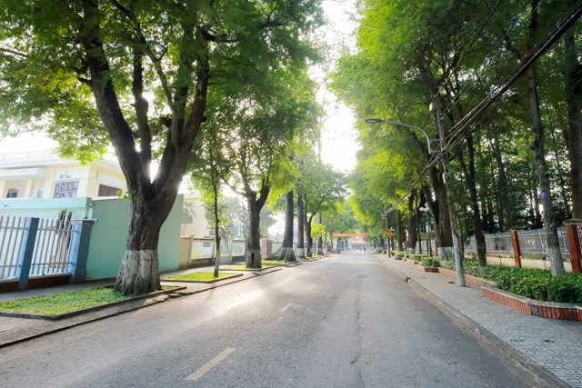 Th&agrave;nh phố Tr&agrave; Vinh l&agrave; một trong những đ&ocirc; thị c&oacute; nhiều c&acirc;y xanh cổ thụ nhất ở miền T&acirc;y.