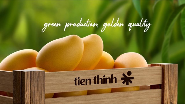 TT6 là doanh nghiệp sản xuất nước ép hiếm hoi trên sàn chứng khoán.